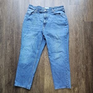 Everlane The Cheeky Curvy Jean 33 Crop Organic Cotton Blue Straight High WaistH